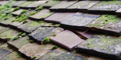Marsh Gibbon roof repair costs